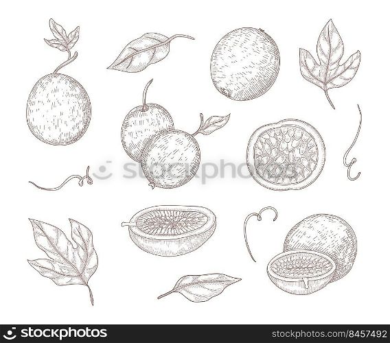 Fresh passionfruit engraved illustrations set. Hand drawn vintage sketch of whole passion fruits and halves, leaves isolated on white background. Food, exotic or tropical fruit, summer concept