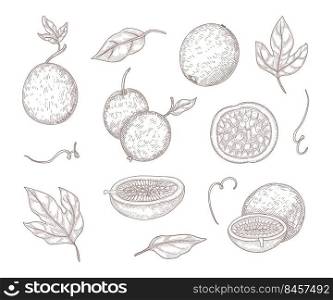 Fresh passionfruit engraved illustrations set. Hand drawn vintage sketch of whole passion fruits and halves, leaves isolated on white background. Food, exotic or tropical fruit, summer concept