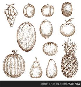 Fresh pear and lemon, orange and apple, plum and grape, peach and pineapple, kiwi and watermelon, avocado and melon fruits isolated sketches. Great for vegetarian dessert or recipe book, kitchen interior accessories and health food themes. Sketches of fresh harvested fruits