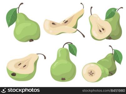 Fresh pears set. Green whole and cut fruits, halves and slices isolated on white. Vector illustration for organic food, vegetarian diet, healthy nutrition concept