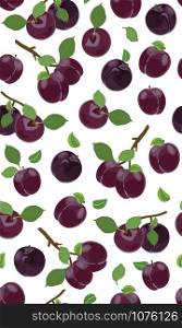 Fresh purple plum seamless pattern, Vector illustration isolated on white background