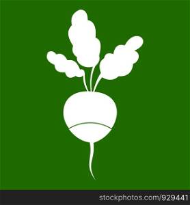 Fresh radish icon white isolated on green background. Vector illustration. Fresh radish icon green