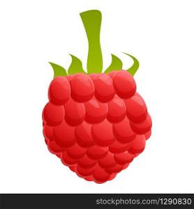 Fresh raspberry icon. Cartoon of fresh raspberry vector icon for web design isolated on white background. Fresh raspberry icon, cartoon style