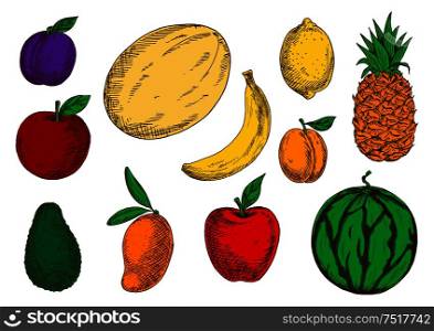 Fresh red apples and violet plum, fragrant mango, banana and melon, juicy lemon, pineapple and peach, ripe green avocado and watermelon fruits sketch icons. Tasty and healthy food design. Healthy and fresh fruits colored sketch icons