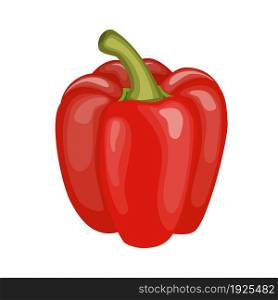 Fresh red pepper vegetable isolated icon. pepper for farm market, vegetarian salad recipe design. vector illustration in flat style. Fresh red pepper vegetable isolated icon.