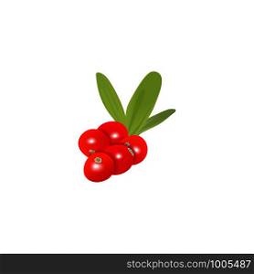 Fresh ripe cranberry berries with leaf isolated. Fruit bunch on white background. Vector illustration. For food, medicine, drinks, beverages, cosmetology syrups tea culinary. Fresh ripe cranberry berries with leaf isolated. Fruit bunch on white background. Vector illustration.