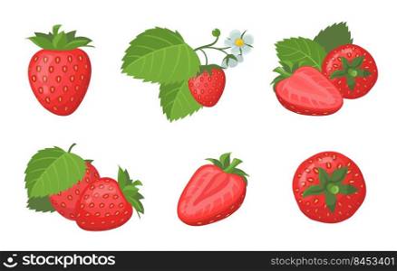 Fresh ripe strawberry set. Whole and sliced juicy red summer berries with leaves isolated on white. Vector illustration for organic food, fruit, farm market, natural product concept
