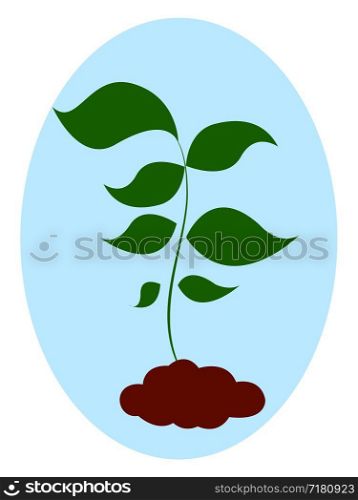 Fresh seedling, illustration, vector on white background