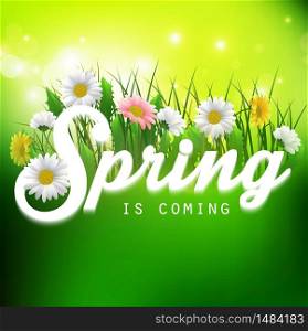Fresh spring background with grass and flowers.Vector