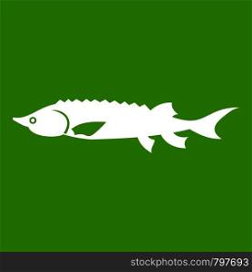 Fresh sturgeon fish icon white isolated on green background. Vector illustration. Fresh sturgeon fish icon green