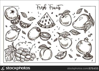 Fresh sweet fruit whole and slices monochrome collection. Exotic and ripe organic edible products full of vitamins grown at farm isolated cartoon flat vector illustrations set on white background.. Fresh sweet fruit whole and slices monochrome collection