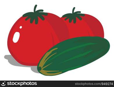 Fresh tomato and cucumber