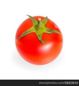 Fresh Tomatoes Isolated on White Background Vector Illustration. EPS10