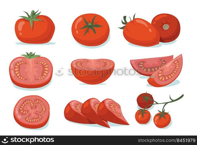 Fresh tomatoes set. Red whole and cut vegetables, halves and slices isolated on white. Vector illustration for organic food, vegetarian diet, cooking ingredient, agriculture concept