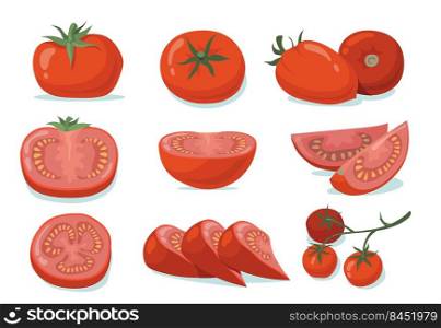 Fresh tomatoes set. Red whole and cut vegetables, halves and slices isolated on white. Vector illustration for organic food, vegetarian diet, cooking ingredient, agriculture concept