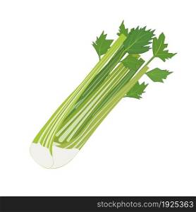 Fresh Vegetable Celery isolated icon. Celery for farm market, vegetarian salad recipe design. vector illustration in flat style. Fresh Vegetable Celery isolated icon