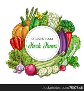 Fresh vegetable vector banner. Farm and garden harvest food of peppers, cabbages, garlic and radish, broccoli, cucumber, zucchini and cauliflower, pumpkin, asparagus, eggplant and beet with leaves. Farm and garden vegetable food banner