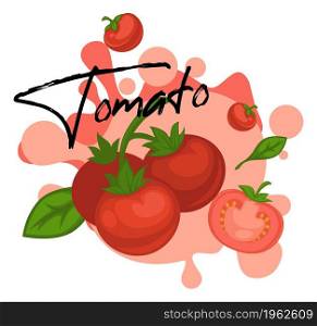 Fresh vegetable with basil herb leaves, marketing or advertising banner with tomato and seasoning. Healthy eating and balanced dieting, vegan and vegetarian menu or diet. Vector in flat style. Tomato fresh vegetable with basil leaves banner