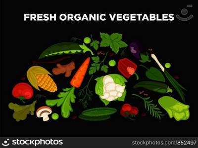 Fresh vegetables advertisement with organic healthy vegetarian products and greenery from farm full of vitamins isolated cartoon flat vector illustrations with sample text on white background.. Fresh vegetables advertisement with organic healthy vegetarian products and greenery from farm full of vitamins