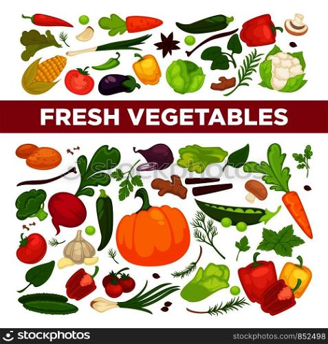Fresh vegetables advertisement with organic healthy vegetarian products and greenery from farm full of vitamins isolated cartoon flat vector illustrations with sample text on white background.. Fresh vegetables advertisement with organic healthy vegetarian products and greenery from farm full of vitamins