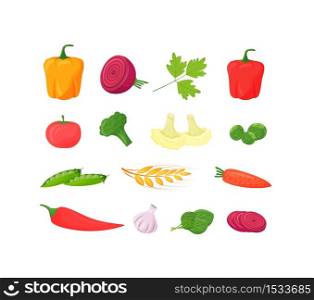 Fresh vegetables cartoon vector illustrations set. Pepper, tomato and broccoli healthy food. Cauliflower and beets organic produce flat color objects. Raw carrot food isolated on white background. Fresh vegetables cartoon vector illustrations set