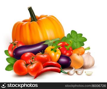 Fresh vegetables. Healthy Food. Vector illustration