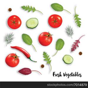 Fresh vegetables herbs and spices isolated on white background. Tomatoes, pepper, cuccumber. Vector illustrtion