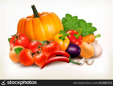 Fresh vegetables isolated on white background. Vector background.