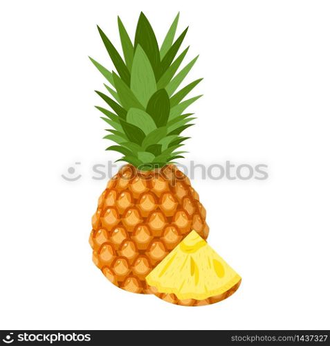 Fresh whole and cut slice pineapple fruit isolated on white background. Summer fruits for healthy lifestyle. Organic fruit. Cartoon style. Vector illustration for any design. Fresh whole and cut slice pineapple fruit isolated on white background. Summer fruits for healthy lifestyle. Organic fruit. Cartoon style. Vector illustration for any design.