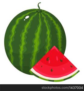 Fresh whole and cut slice watermelon fruit isolated on white background. Summer fruits for healthy lifestyle. Organic fruit. Cartoon style. Vector illustration for any design.
