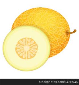 Fresh whole and half melon fruit isolated on white background. Honeydew melon. Summer fruits for healthy lifestyle. Organic fruit. Cartoon style. Vector illustration for any design.