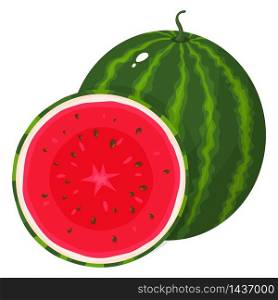 Fresh whole and half watermelon fruit isolated on white background. Summer fruits for healthy lifestyle. Organic fruit. Cartoon style. Vector illustration for any design.