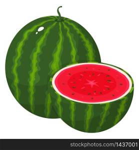 Fresh whole and half watermelon fruit isolated on white background. Summer fruits for healthy lifestyle. Organic fruit. Cartoon style. Vector illustration for any design.