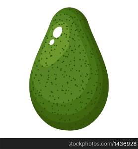 Fresh whole avocado with leaf isolated on white background. Summer fruits for healthy lifestyle. Organic fruit. Cartoon style. Vector illustration for any design.