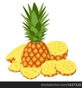 Fresh whole, half and cut slices pineapple fruit isolated on white background. Summer fruits for healthy lifestyle. Organic fruit. Cartoon style. Vector illustration for any design. Fresh whole, half and cut slices pineapple fruit isolated on white background. Summer fruits for healthy lifestyle. Organic fruit. Cartoon style. Vector illustration for any design.