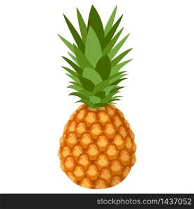 Fresh whole pineapple fruit isolated on white background. Summer fruits for healthy lifestyle. Organic fruit. Cartoon style. Vector illustration for any design.