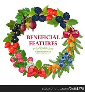Fresh wild and garden harvested berries wreath natural colorful decorative frame background print abstract vector illustration. Fresh Natural Berries Wreath Decorative Frame