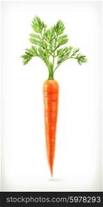 Fresh young carrot, health food, vector icon