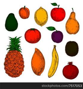 Freshly harvested flavorful pear, red apple, tropical banana, pineapple, orange, mango and lemon, sweet peach, plum, ripe avocado, pomegranate and kiwi fruits. Retro colored sketchy fruits for agriculture or organic farming design. Freshly harvested fruits retro sketch icons