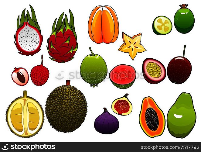Freshly plucked bright yellow star fruit and pink litchi, soft and ripe passion fruit and feijoa, fig and papaya, juicy guava, dragon fruit and sweet durian fruits supplemented slices, showing seeds and flesh. Whole and halved fresh tropical fruits