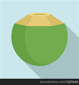 Freshness coconut icon. Flat illustration of freshness coconut vector icon for web design. Freshness coconut icon, flat style