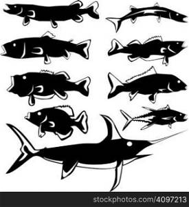Freshwater and saltwater fish in vector silhouette with stylized illustration