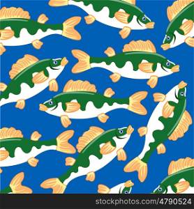 Freshwater fish perch on turn blue background is insulated. Fish Pattern perch