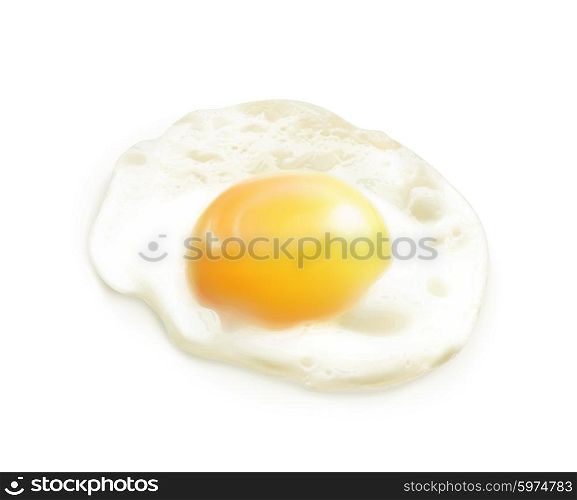 Fried egg, vector