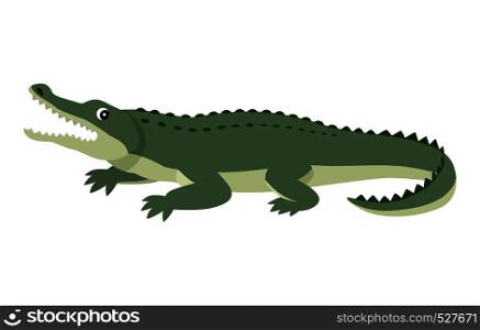 Friendly cute green alligator, funny wild animal, cartoon crocodiles, vector illustration isolated on white background. Friendly cute green alligator, funny wild animal