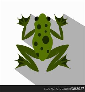 Frog icon. Flat illustration of frog vector icon for web. Frog icon, flat style