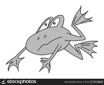 frog on white background, vector illustration