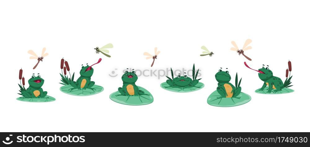 Frog poses. Cartoon green aquatic animal sitting on water lily leaves, funny froglet hunting and catching dragonfly with tongue. Isolated cute amphibious eating insects, natural scenes, vector set. Frog poses. Cartoon green aquatic animal sitting on water lily leaves, funny froglet hunting and catching dragonfly with tongue. Isolated amphibious eating insects, vector natural set