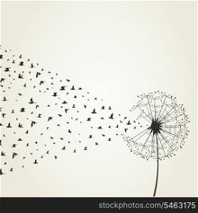 From a dandelion birds take off. A vector illustration