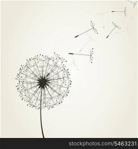 From a dandelion seeds fly. A vector illustration
